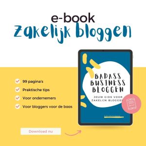 e-book Zakelijk bloggen: leer zakelijk bloggen